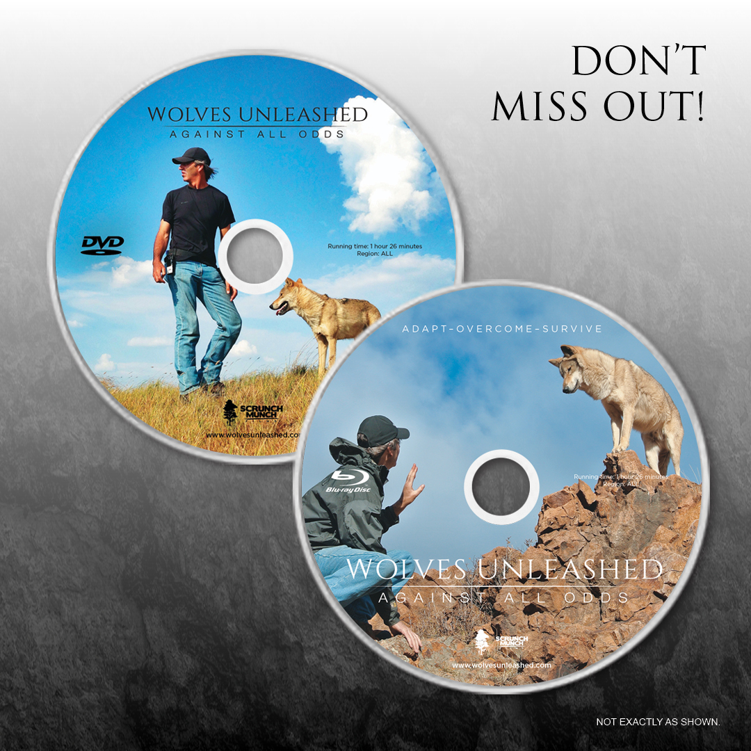 Against All Odds Blu-ray